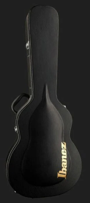IBANEZ JSM20 BKL JOHN SCOFIELD GUITARRA ELECTRICA NEGRA - Image 15