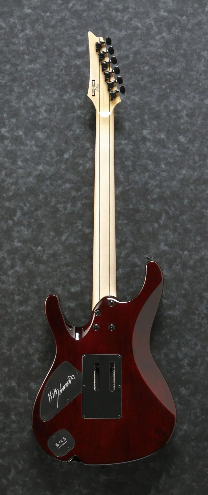 IBANEZ KIKO10BP TGB KIKO LOUREIRO GUITARRA ELECTRICA TRANSPARENT GRAY BURST - Image 4