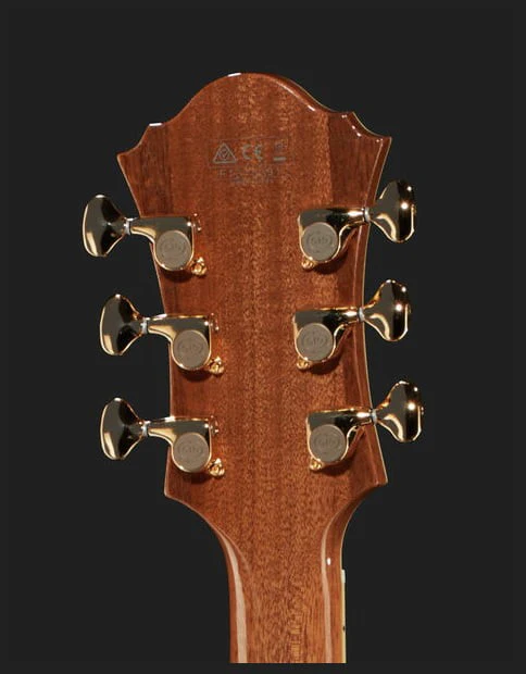 IBANEZ PM200 NT PAT METHENY GUITARRA ELECTRICA NATURAL - Image 6