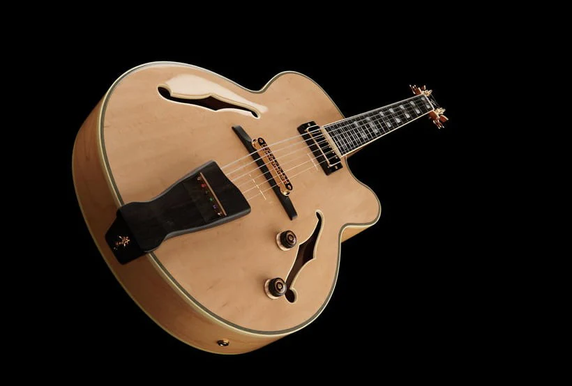 IBANEZ PM200 NT PAT METHENY GUITARRA ELECTRICA NATURAL - Image 8