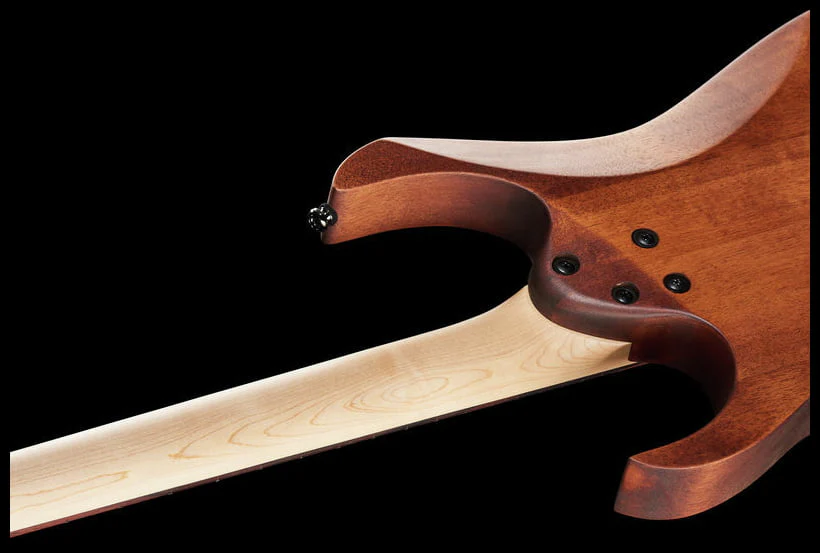 IBANEZ RG421 MOL GUITARRA ELECTRICA CAOBA OIL - Image 18