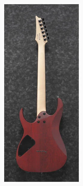 IBANEZ RG421PB CHF GUITARRA ELECTRICA CARIBBEAN SHORELINE - Image 3