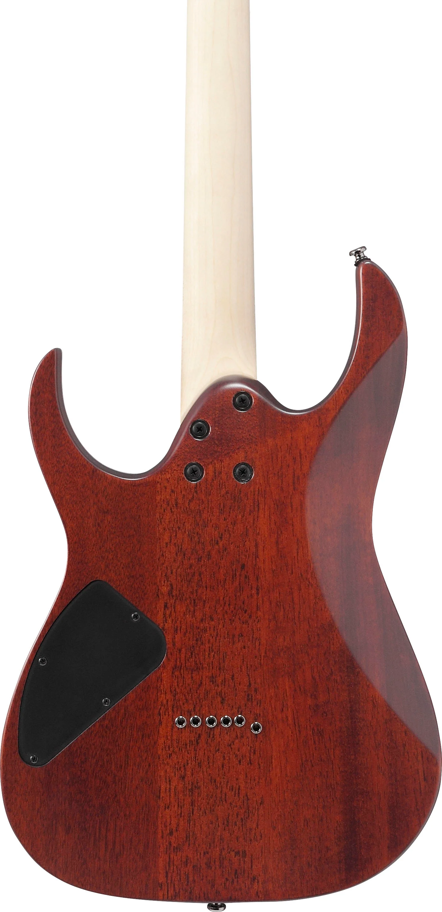 IBANEZ RG421S SEM GUITARRA ELECTRICA SEA SHORE MATTE - Image 5