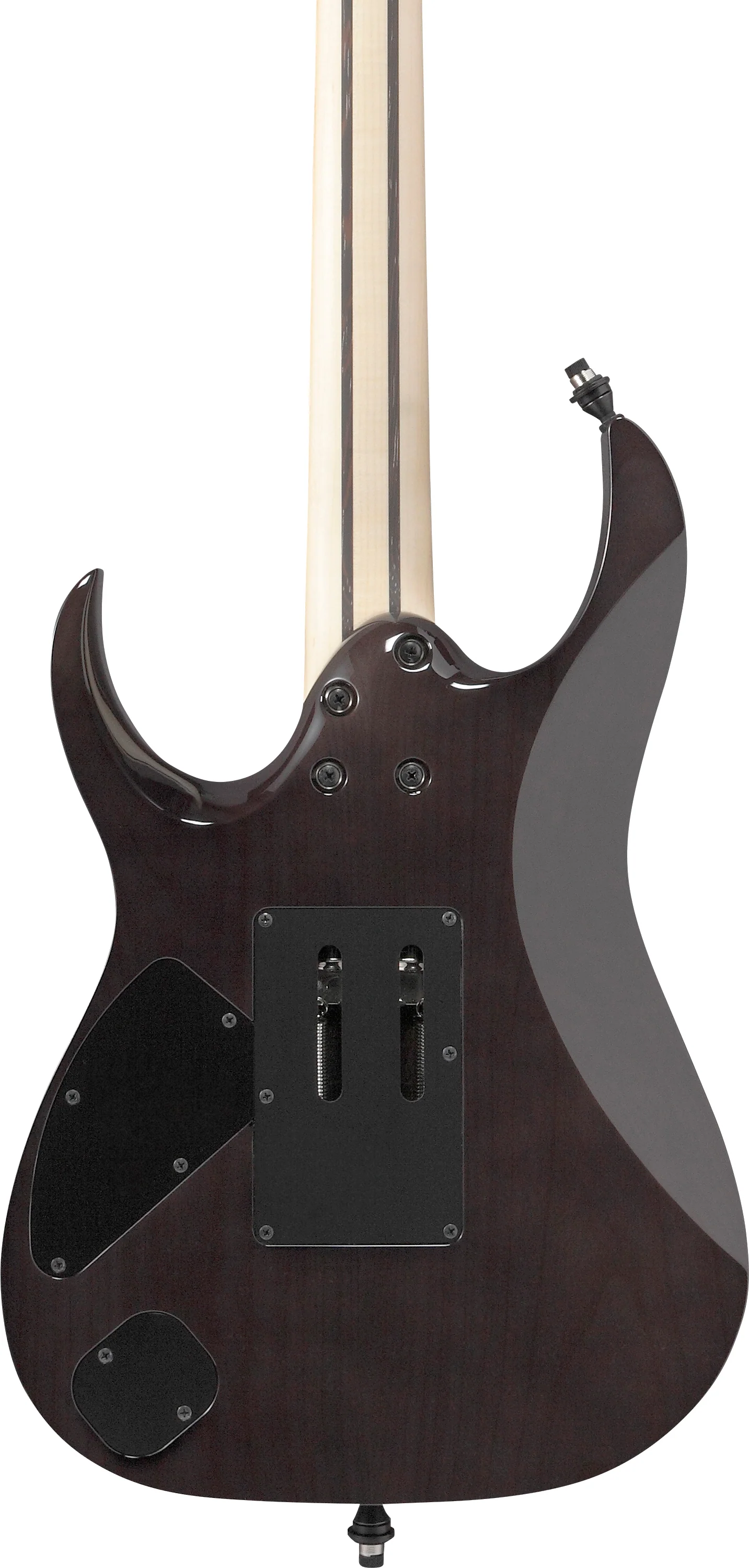 IBANEZ RG8870 BRE J. CUSTOM GUITARRA ELECTRICA BLACK RUTILE - Image 5