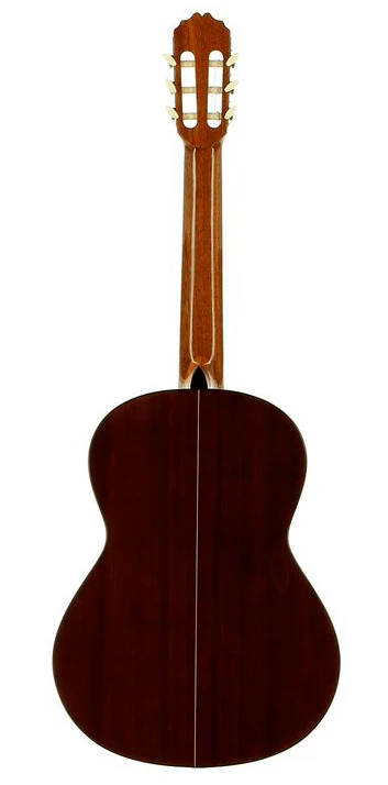 JOSE TORRES JTC20 GUITARRA ESPAÑOLA - Image 3