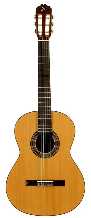 JOSE TORRES JTC20 + JTB10 GUITARRA ESPAÑOLA CON FUNDA - Image 2