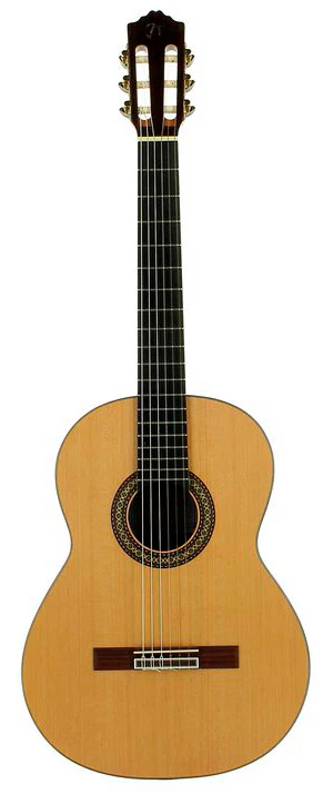 JOSE TORRES JTC50C + JTB100 GUITARRA ESPAÑOLA CON FUNDA - Image 2