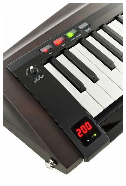 KORG RK100S 2 BK TECLADO KEYTAR TRANSLUCENT BLACK - Image 13