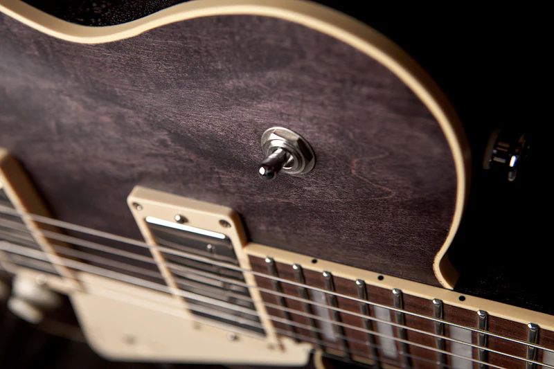 MAGNETO VV-1RC/BOS VELVET GUITARRA ELECTRICA BLACK OIL STAIN - Image 2