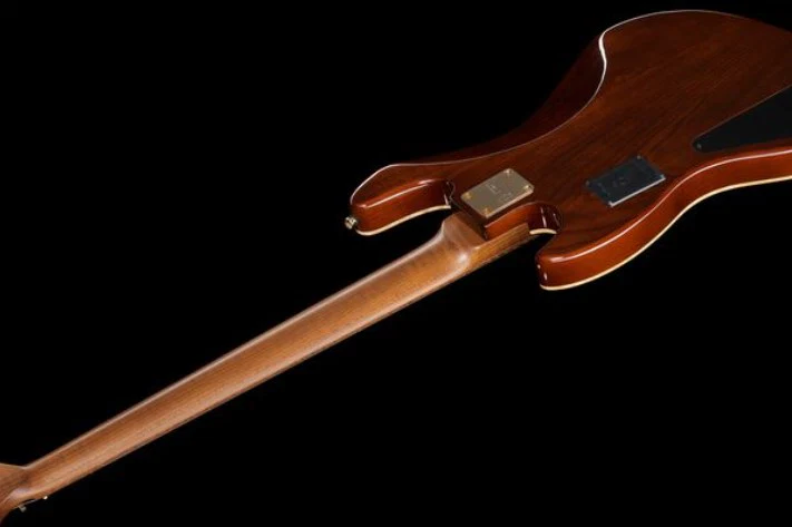 MARCUS MILLER V10 DX-5 TS BAJO ELECTRICO 5 CUERDAS TOBACCO SUNBURST - Image 14
