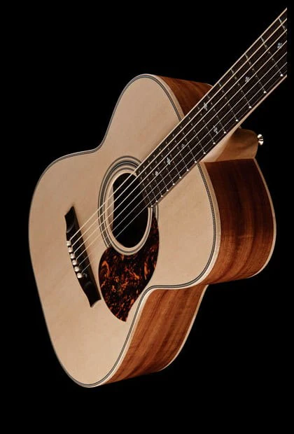 MATON EBG808 ARTIST GUITARRA ELECTROACUSTICA 808 BLUEGRASS - Image 2