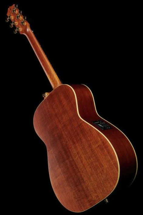 MATON EBG808 NASHVILLE GUITARRA ELECTROACUSTICA 808 BLUEGRASS - Image 14