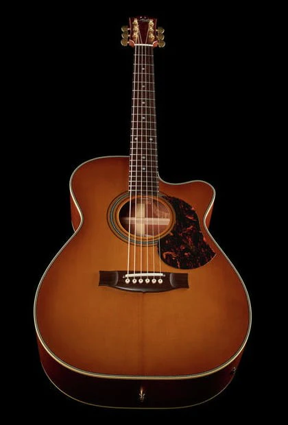 MATON EBG808C NASHVILLE GUITARRA ELECTROACUSTICA 808 BLUEGRASS - Image 13