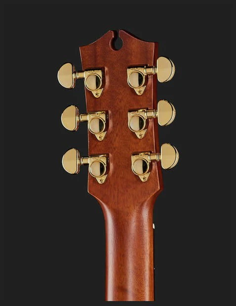 MATON EBG808C NASHVILLE GUITARRA ELECTROACUSTICA 808 BLUEGRASS - Image 7