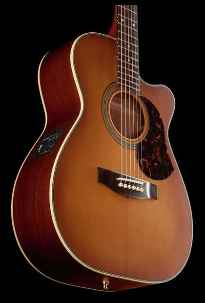 MATON EBG808C NASHVILLE GUITARRA ELECTROACUSTICA 808 BLUEGRASS - Image 8