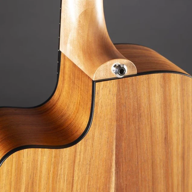 MATON EBW70C BLACKWOOD GUITARRA ELECTROACUSTICA DREADNOUGHT - Image 19