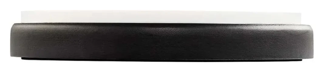 MEINL MPP6BG PAD DE PRACTICAS BENNY GREB - Image 4