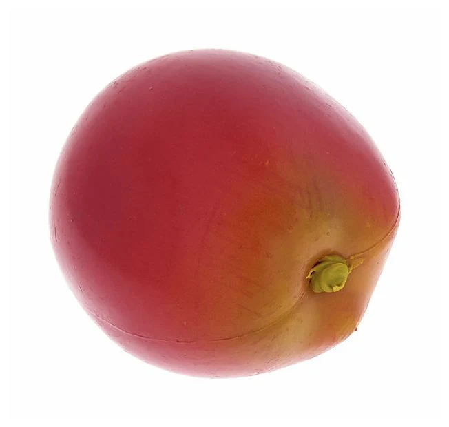 NINO PERCUSSION 596 SHAKER MANZANA - Image 3