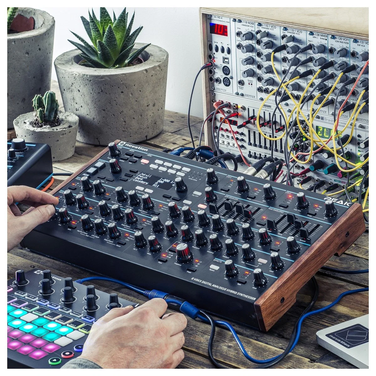 NOVATION PEAK SINTETIZADOR POLIFONICO 8 VOCES - Image 14