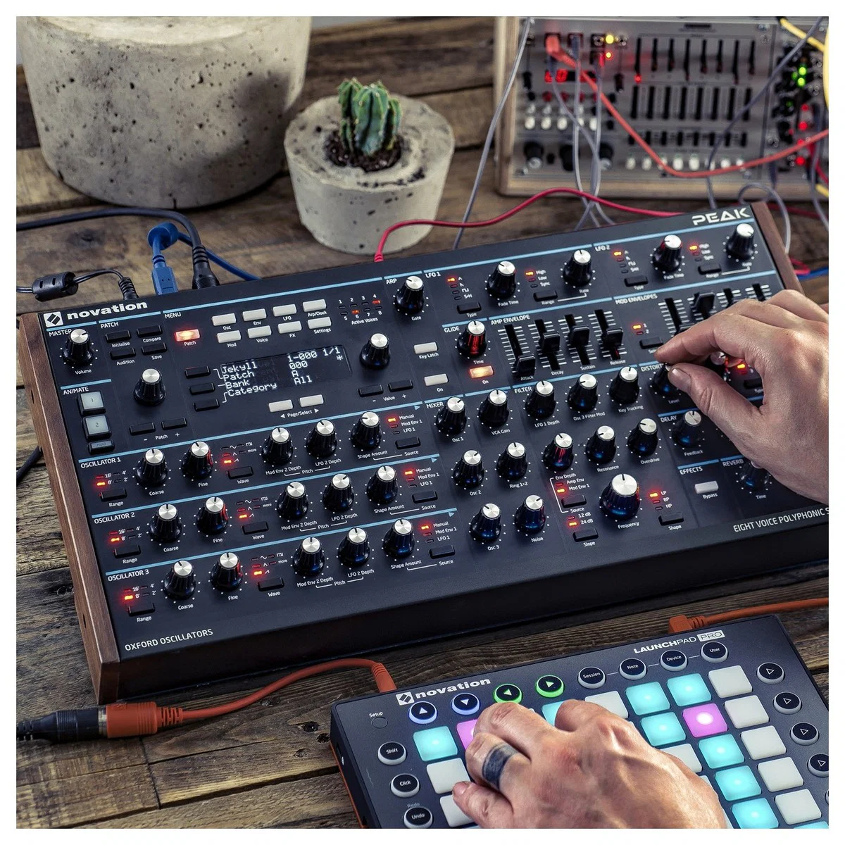 NOVATION PEAK SINTETIZADOR POLIFONICO 8 VOCES - Image 15