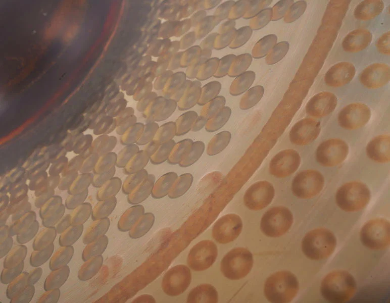 PAISTE RUDE NOVO CHINA PLATO BATERIA 18 PULGADAS - Image 3