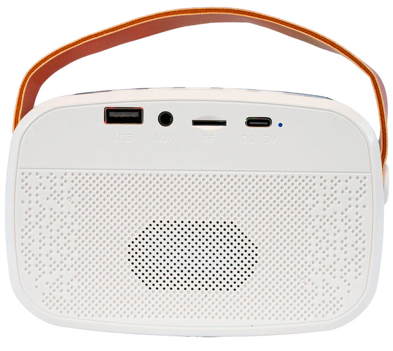 PARTY KARAKID20 ALTAVOZ PORTATIL BLUETOOTH CON 2 MICROFONOS INALAMBRICOS - Image 3