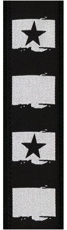 PLANET WAVES 50C01 CORREA WEST COAST ROCK STAR - Image 3