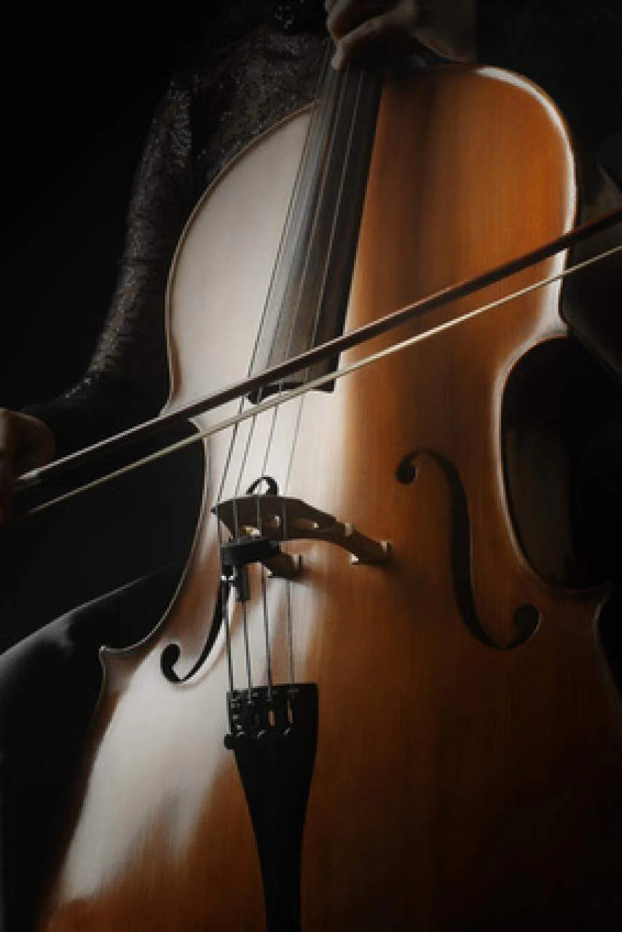 PRODIPE CL21 MICROFONO PARA CELLO - Image 4