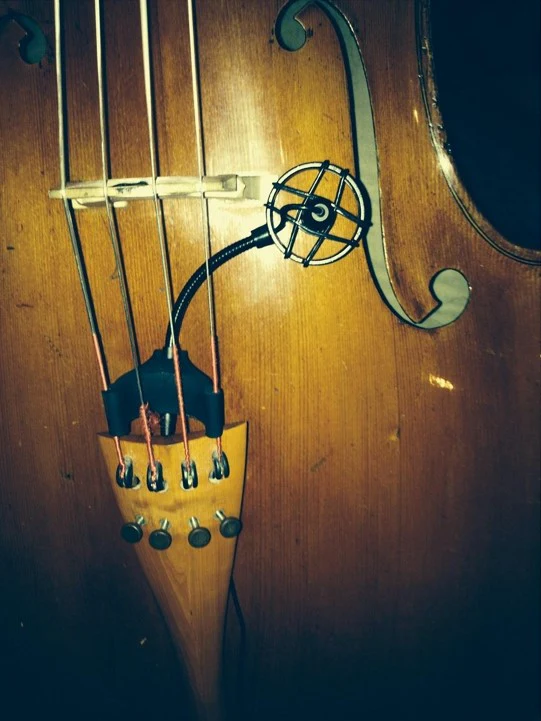 PRODIPE CL21 MICROFONO PARA CELLO - Image 5