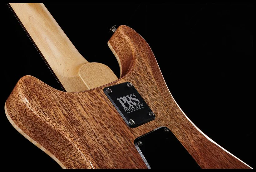 PRS CE24 SEMIHOLLOW EV GUITARRA ELECTRICA ERIZA VERDE - Image 9