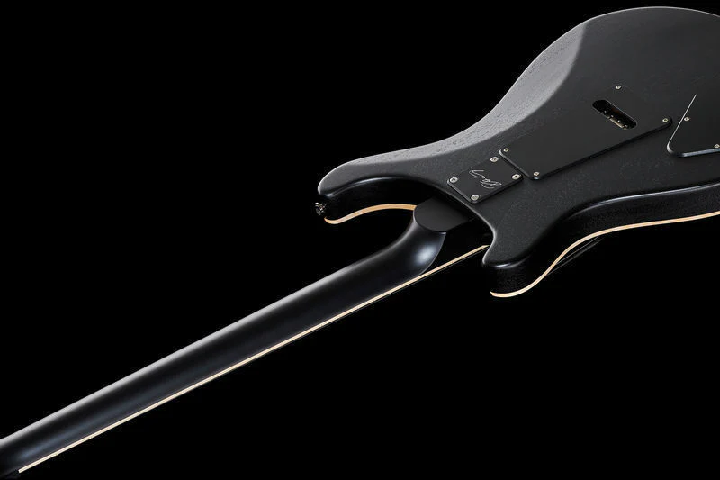 PRS DUSTIE WARING CE FLOYD GBLK GUITARRA ELECTRICA GRAY BLACK - Image 12