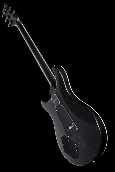 PRS DUSTIE WARING CE FLOYD GBLK GUITARRA ELECTRICA GRAY BLACK - Image 14