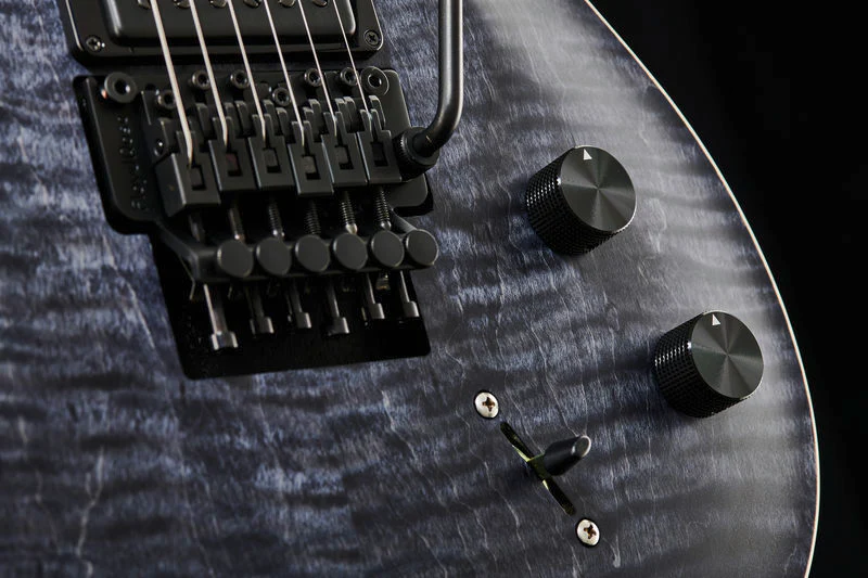 PRS DUSTIE WARING CE FLOYD GBLK GUITARRA ELECTRICA GRAY BLACK - Image 8