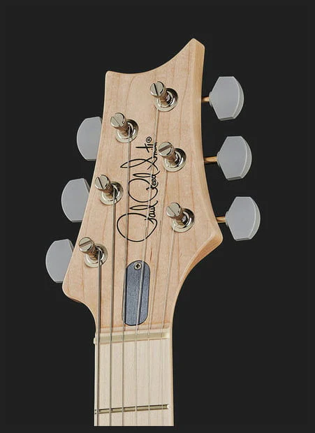 PRS JOHN MAYER SILVER SKY MN GUITARRA ELECTRICA FROST - Image 13