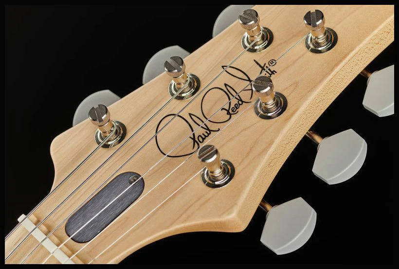 PRS JOHN MAYER SILVER SKY MN GUITARRA ELECTRICA MOC SAND SATIN - Image 26