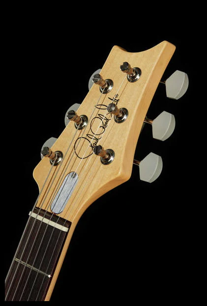 PRS JOHN MAYER SILVER SKY RW GUITARRA ELECTRICA DODGEM BLUE - Image 21