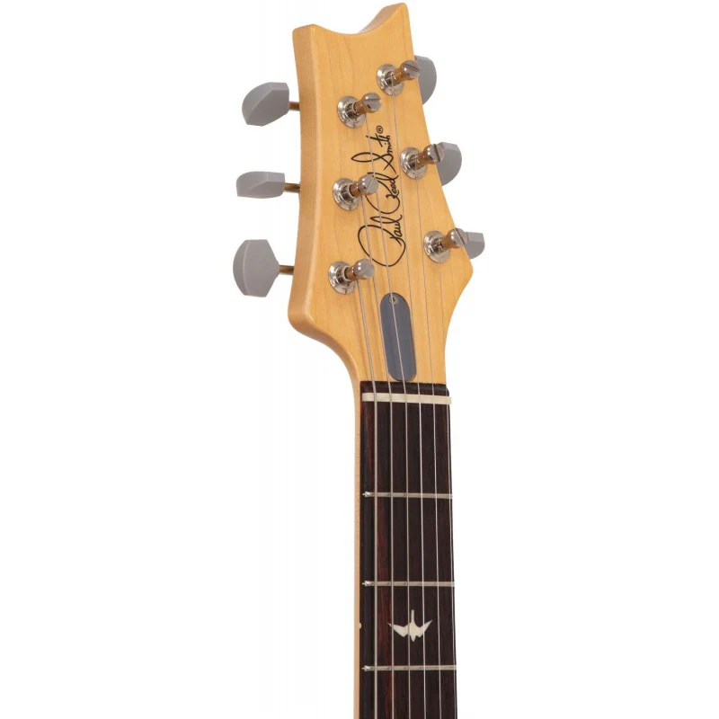 PRS JOHN MAYER SILVER SKY RW GUITARRA ELECTRICA DODGEM BLUE - Image 4