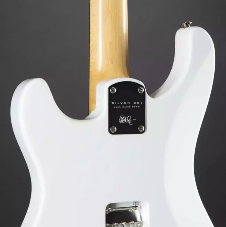 PRS JOHN MAYER SILVER SKY RW GUITARRA ELECTRICA FROST - Image 16