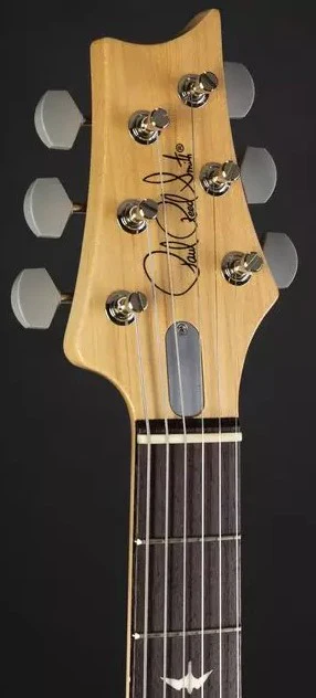 PRS JOHN MAYER SILVER SKY RW GUITARRA ELECTRICA MOC SAND SATIN - Image 8