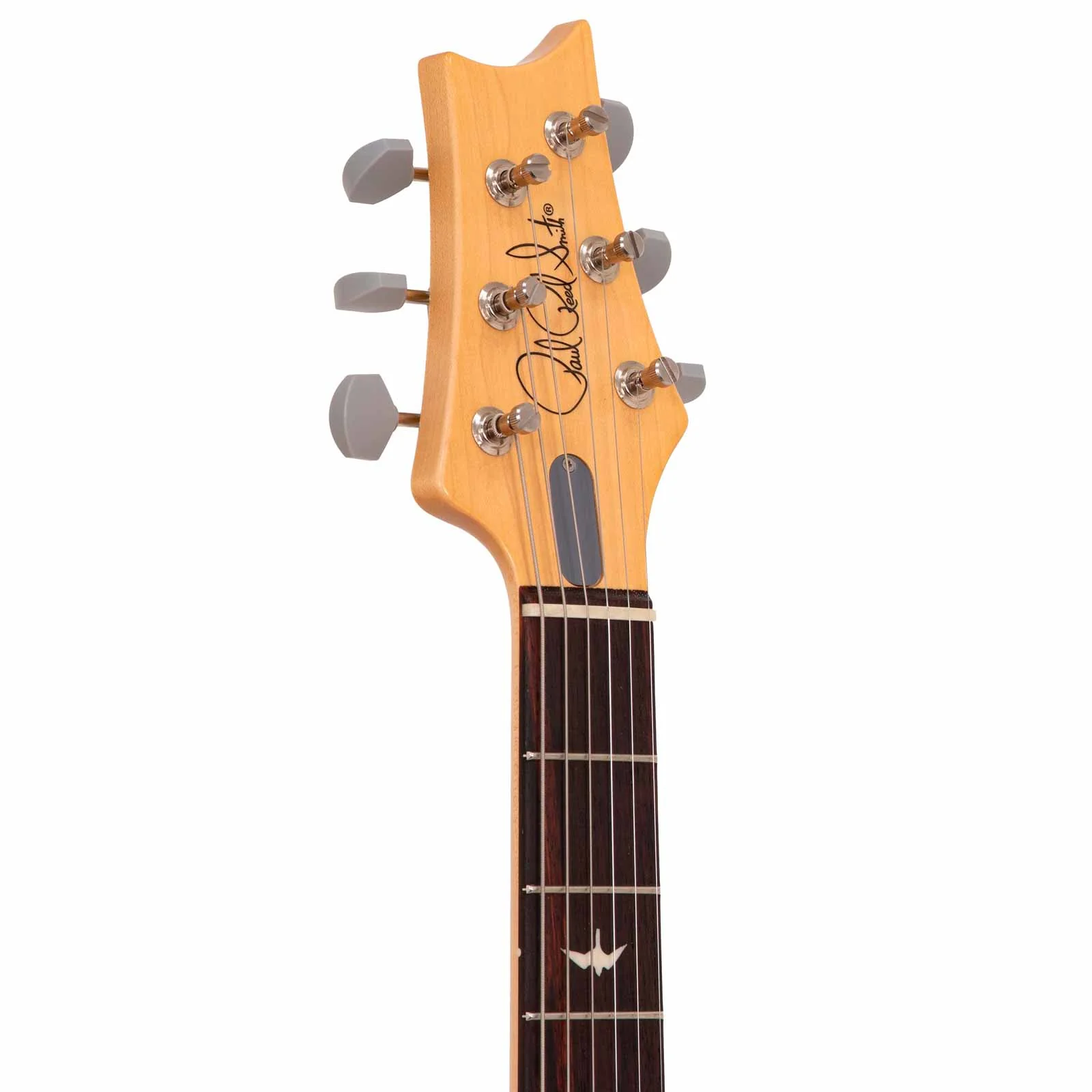PRS JOHN MAYER SILVER SKY RW GUITARRA ELECTRICA POLAR BLUE - Image 5