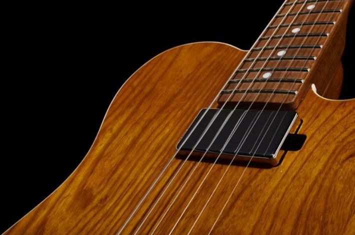 SCHECTER PT VAN NUYS GNA GUITARRA ELECTRICA GLOSS NATURAL ASH - Image 24