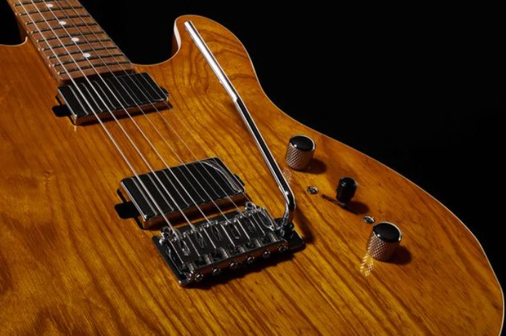 SCHECTER PT VAN NUYS GNA GUITARRA ELECTRICA GLOSS NATURAL ASH - Image 25