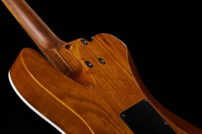 SCHECTER PT VAN NUYS GNA GUITARRA ELECTRICA GLOSS NATURAL ASH - Image 26