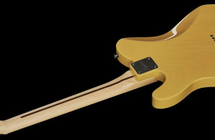 SQUIER AFFINITY TELECASTER MN GUITARRA ELECTRICA BUTTERSCOTCH BLONDE - Image 18