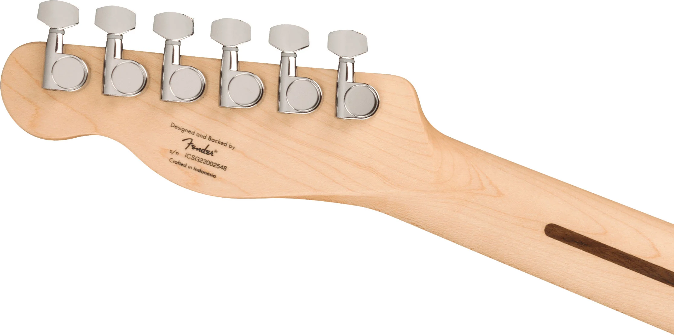 SQUIER SONIC ESQUIRE H MN GUITARRA ELECTRICA ARCTIC WHITE - Image 6