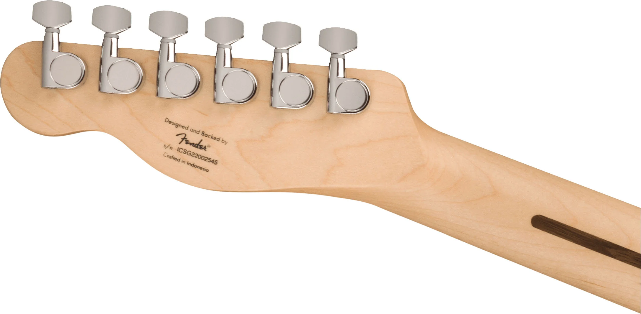 SQUIER SONIC TELECASTER IL GUITARRA ELECTRICA TORINO RED - Image 6