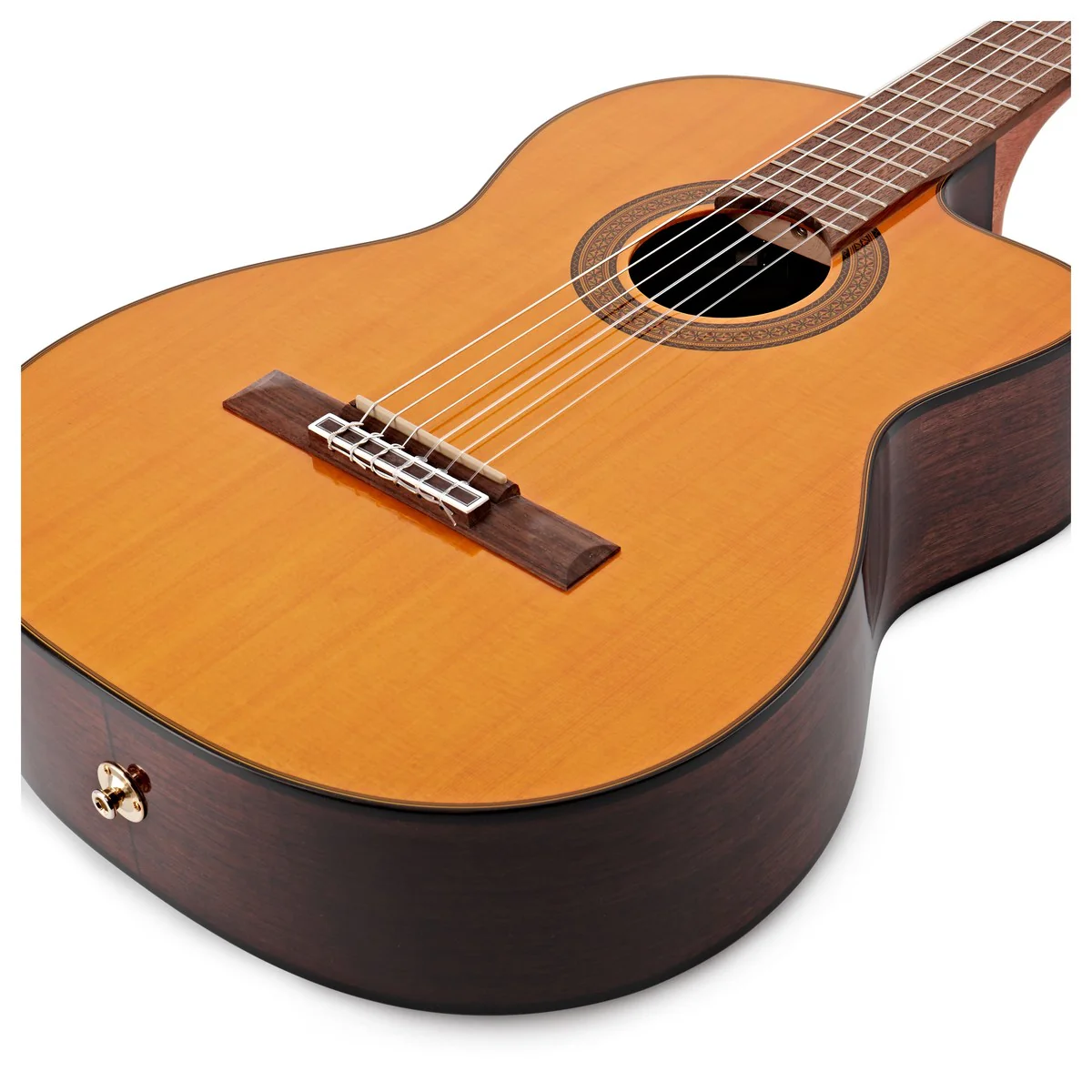 TAKAMINE GC5CE NAT GUITARRA ESPAÑOLA ELECTRIFICADA - Image 4