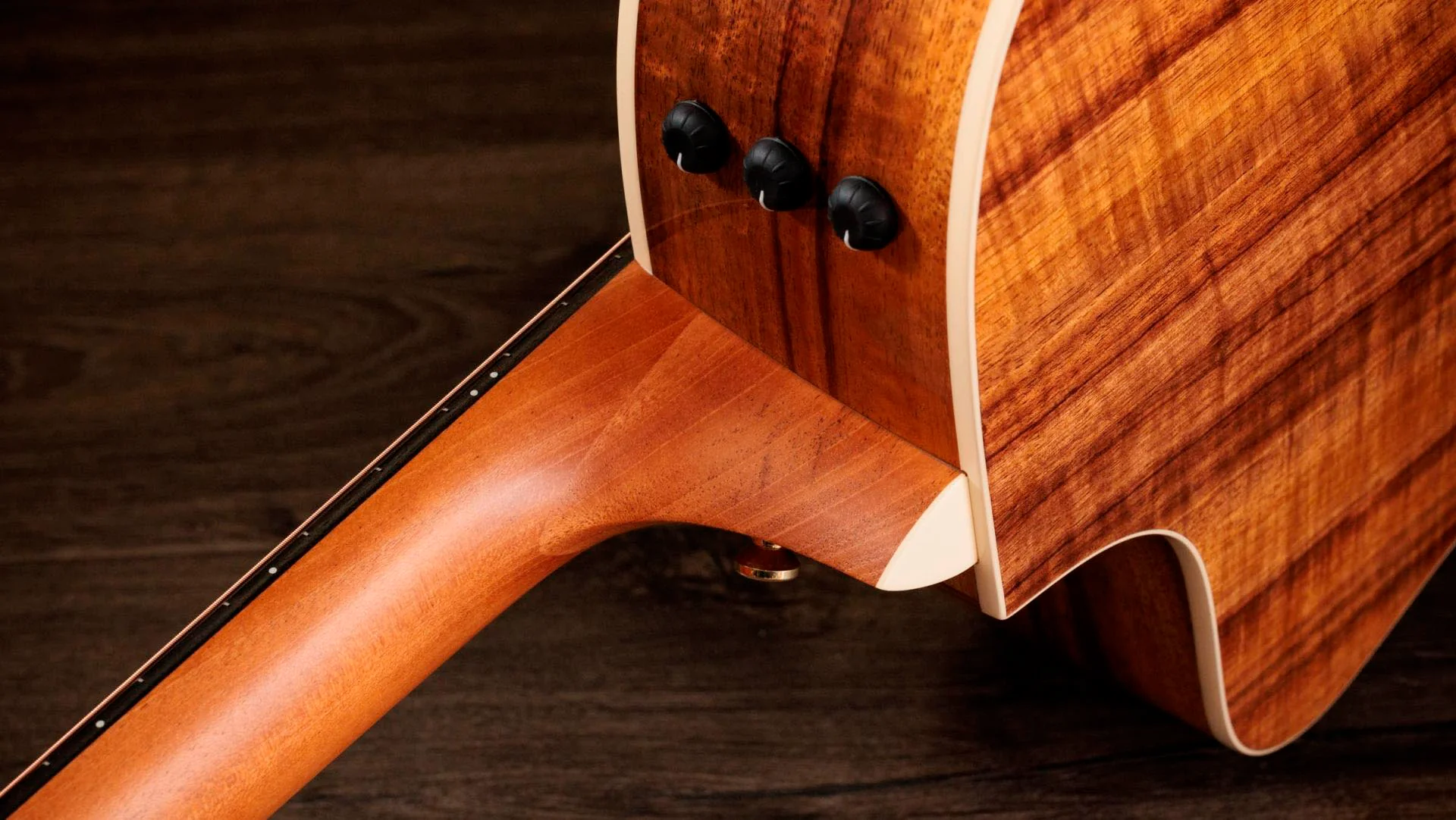 TAYLOR 214CE-K DLX 2025 GUITARRA ELECTROACUSTICA GRAN AUDITORIO - Image 8