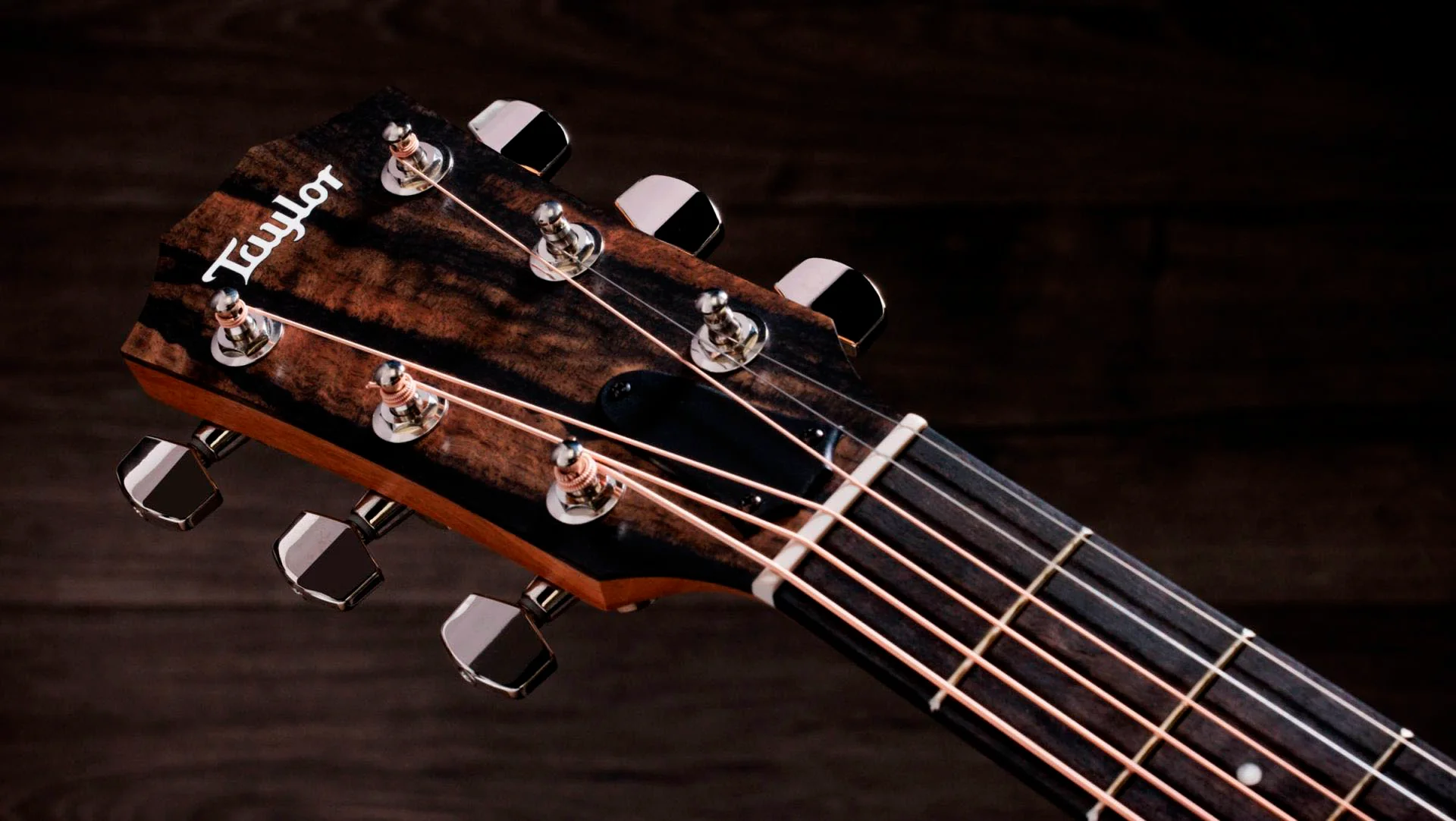 TAYLOR 214CE PLUS SPECIAL EDITION AFRICAN ZIRICOTE GUITARRA ELECTROACUSTICA GRAN AUDITORIO. - Image 7