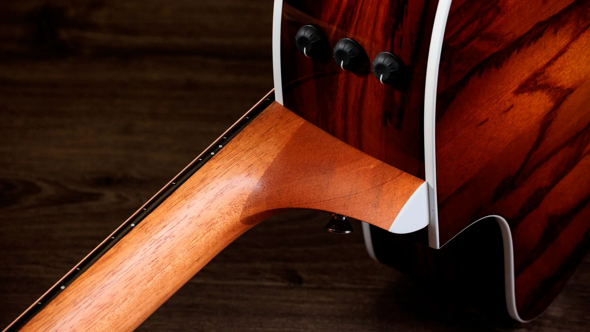 TAYLOR 214CE PLUS SPECIAL EDITION AFRICAN ZIRICOTE GUITARRA ELECTROACUSTICA GRAN AUDITORIO. - Image 8
